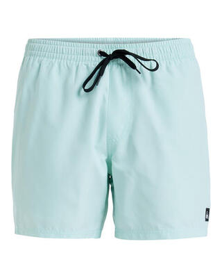 Zwembroek everyday solid volley 15" grün heren