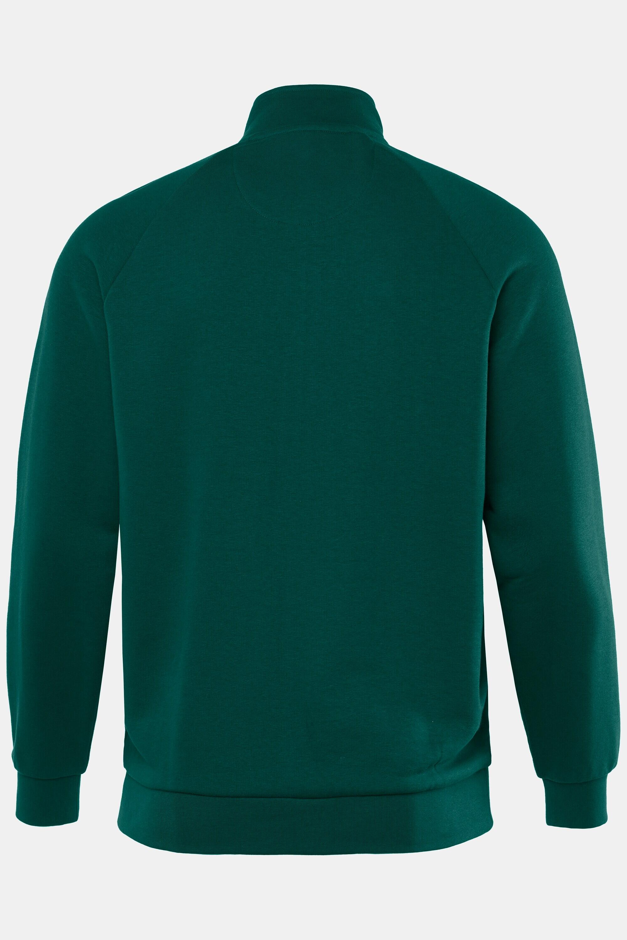Hommes Veste en molleton col montant collection Fitness 5/5