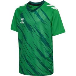 Maillot enfant Hummel Triumph
