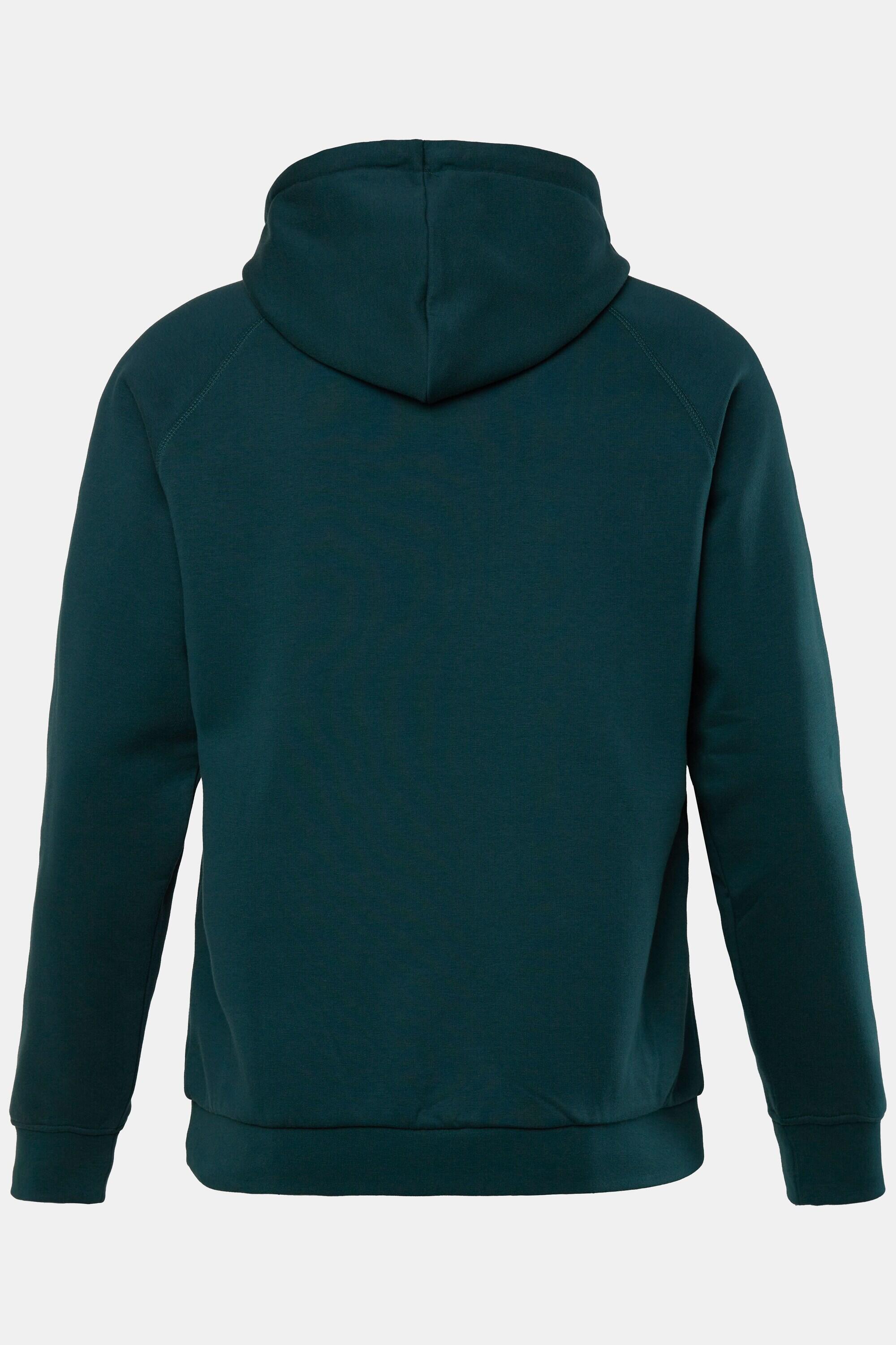 Heren hoodie fitness trui capuchon tot 7XL 4/4
