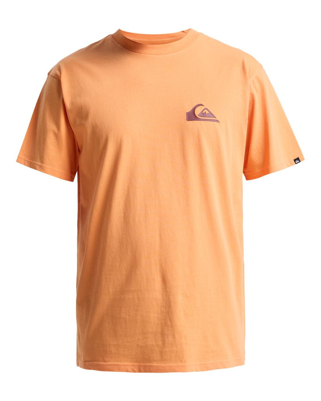 QUIKSILVER picture
