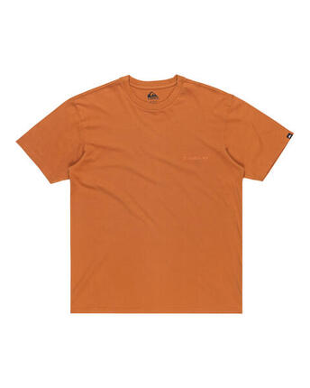 T-shirt à manches courtes SALT WATER Marron Homme