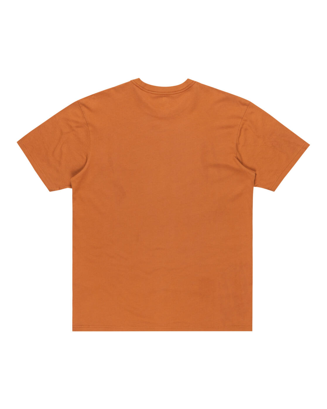 T-shirt à manches courtes SALT WATER 2024 Marron Homme 2/3