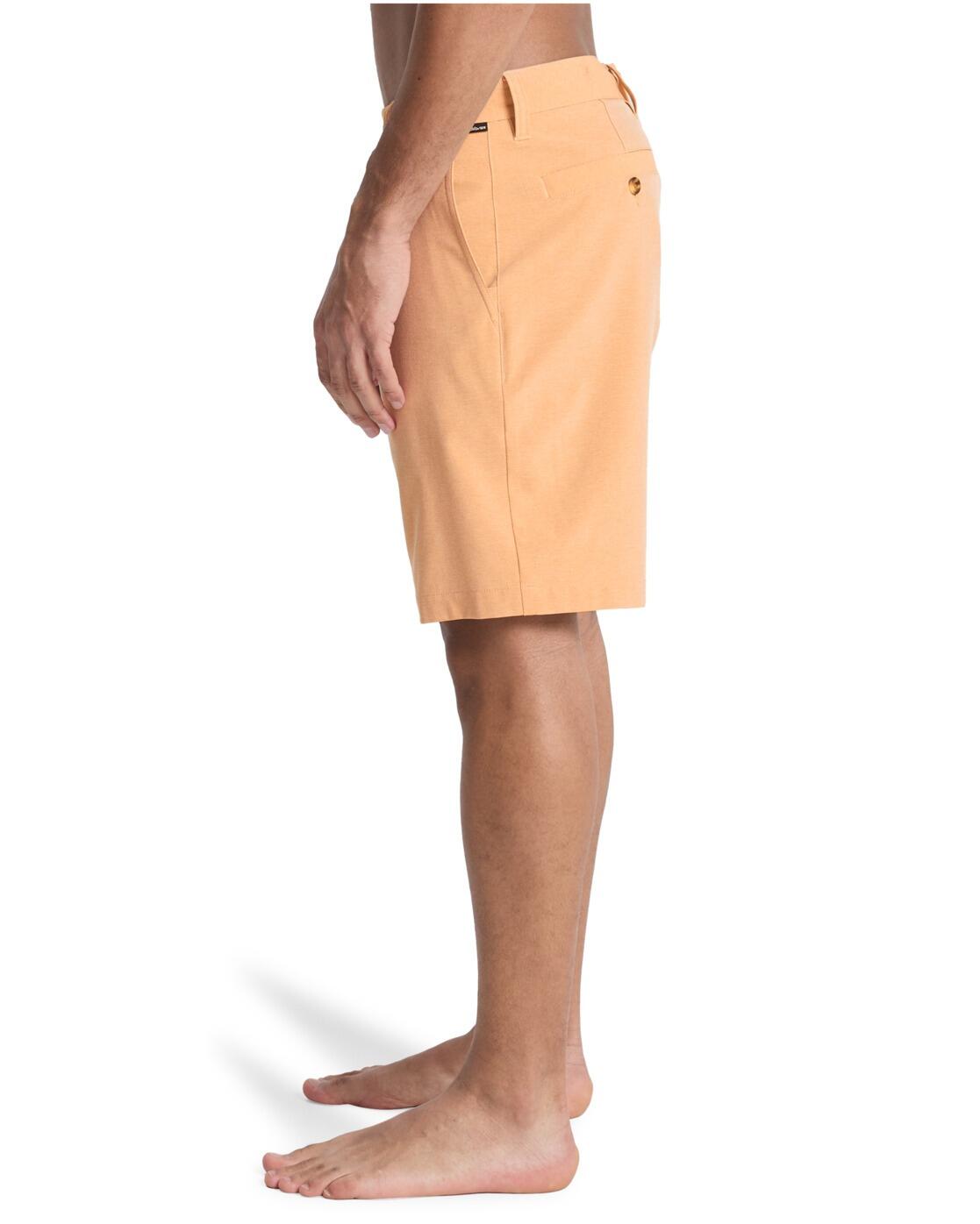 Boardshort Amphibian UNION HEATHER AMPH 19" Marron Homme 3/4