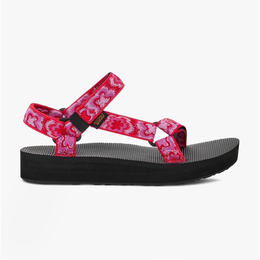 TEVA picture
