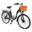 Bicicletă electrică DYU C6 Anvelope 26 inch Motor 350W Baterie 36V 12.5Ah