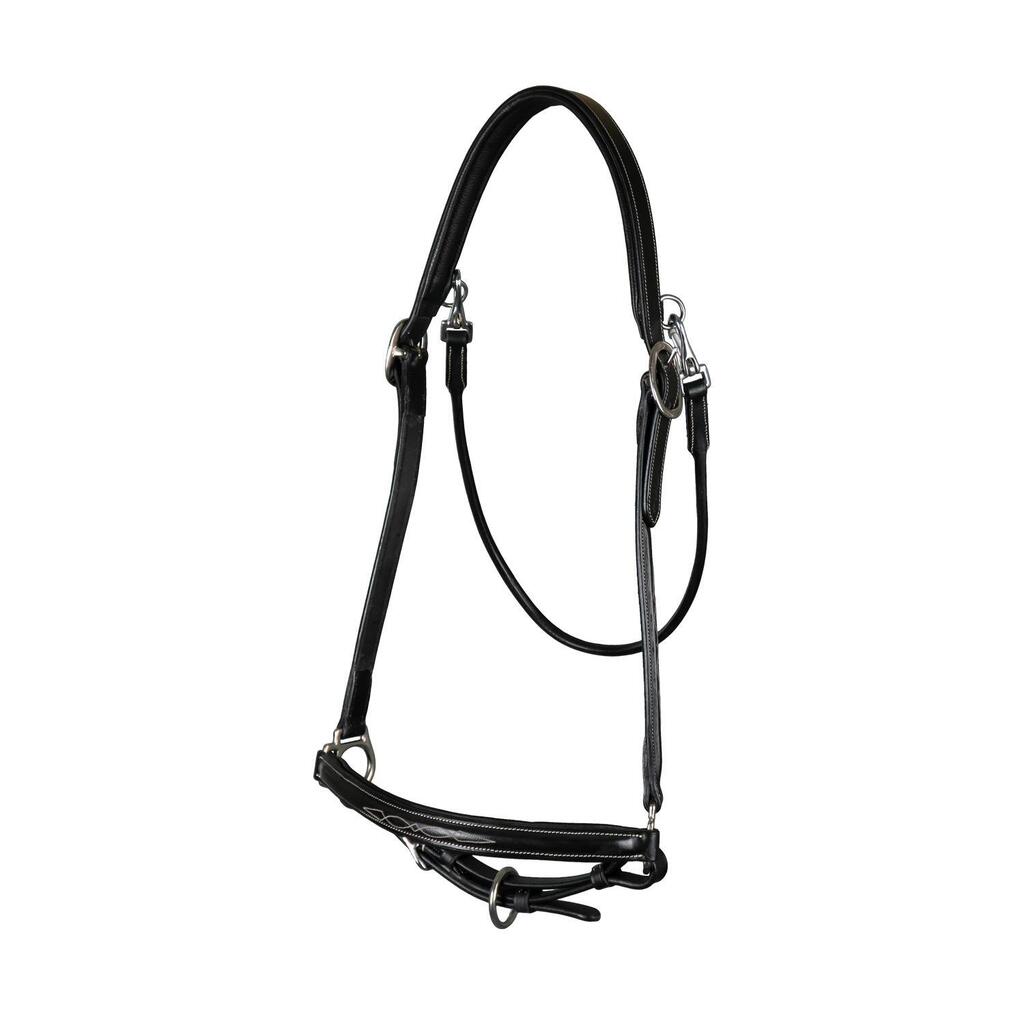 Horse grooming halter Dy'on