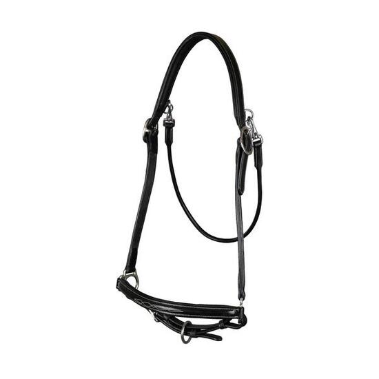Toilettage Licol FULL - Noir - Cuir de buffle