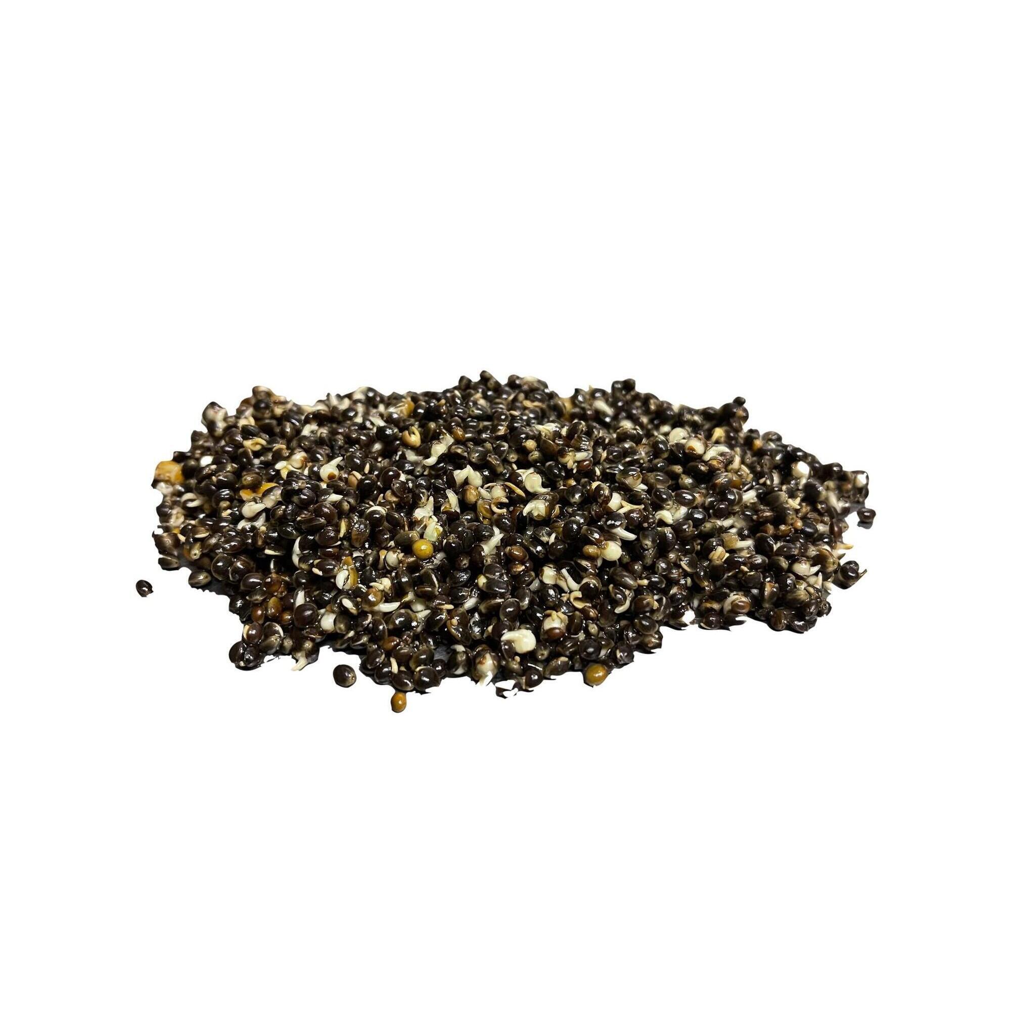 Baitworld - Baitworld Chanvre Naturel Prêt À Pêcher Durée De Conservation 15 Kg - Graine - 15 Kg - Decathlon