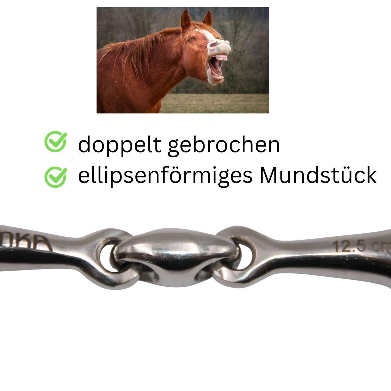 AMKA Olivenkopfgebiss 4/4