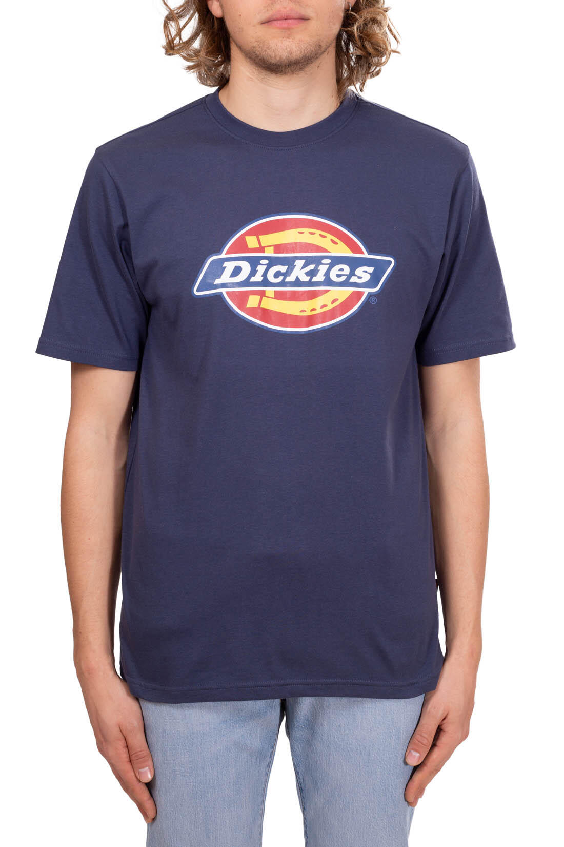 T-shirt DICKIES DK0A4XC9 2/4