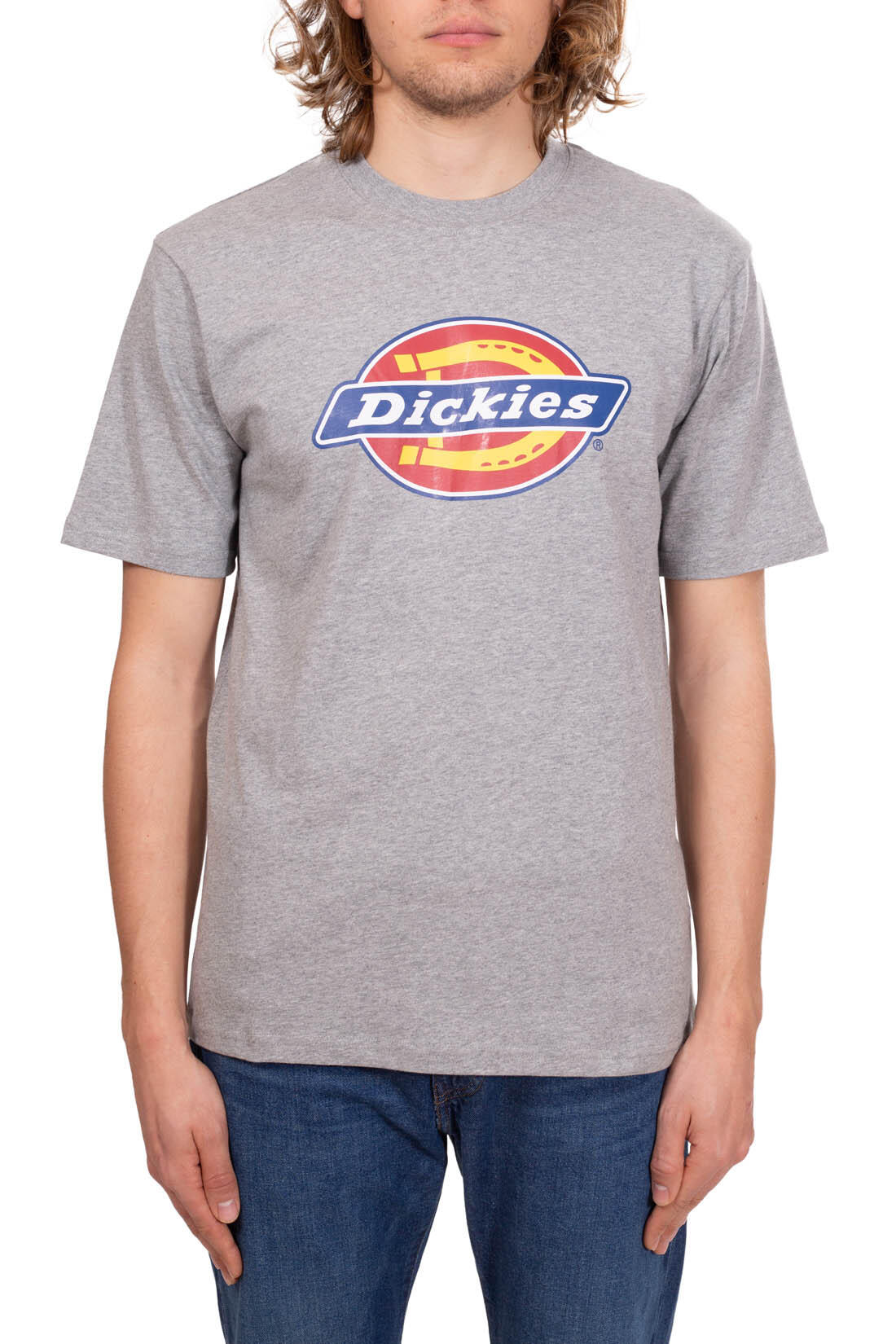 T-shirt DICKIES DK0A4XC9 2/5