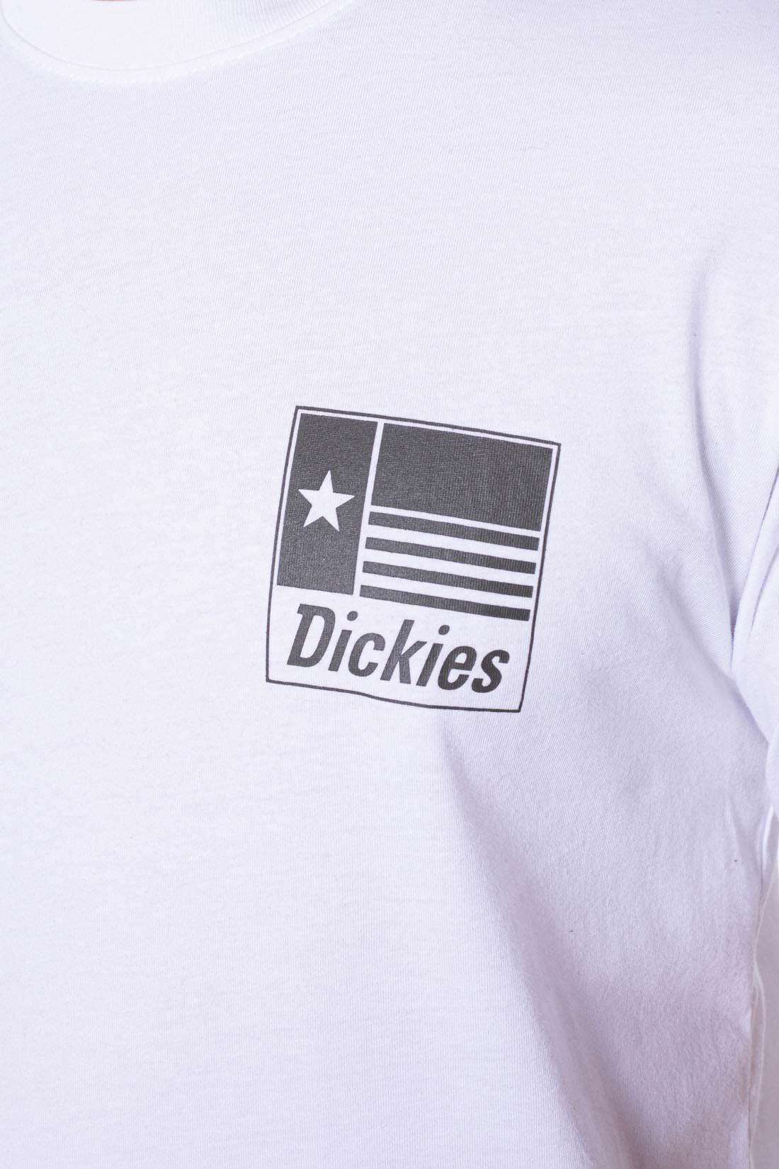 T-shirt DICKIES Taylor 4/5