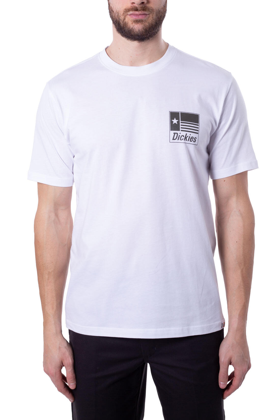 T-shirt DICKIES Taylor 2/5