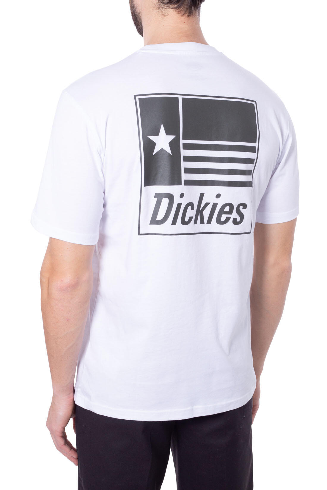 T-shirt DICKIES Taylor 3/5