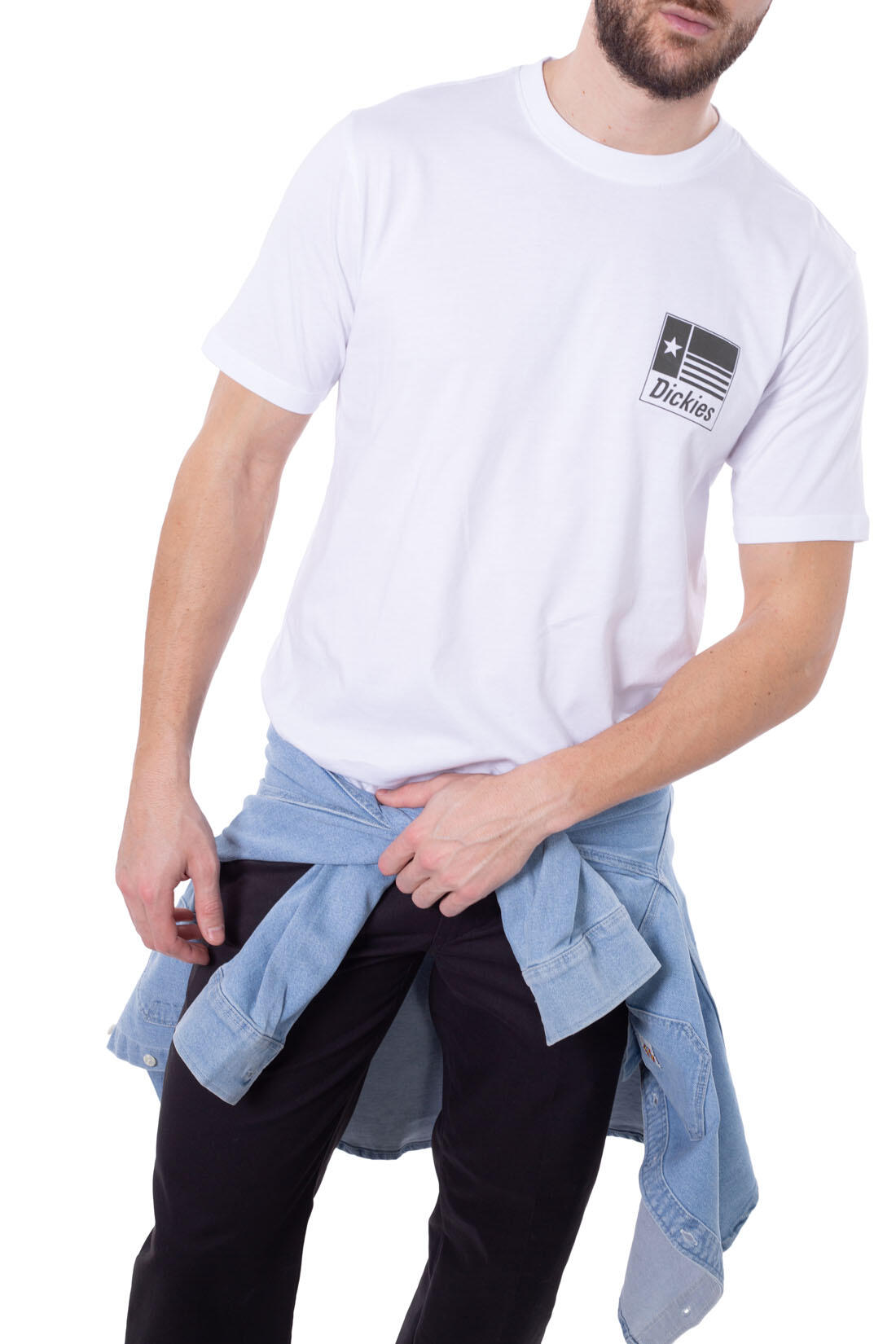T-shirt DICKIES Taylor 1/5