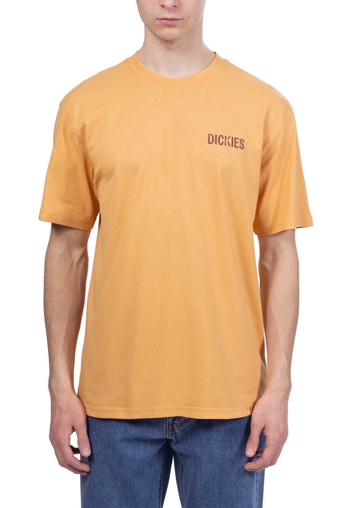 T-shirt uomo Companion 2/5