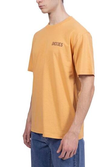 T-shirt - sportswear - Heren - Companion - Relaxed pasvorm - oranje