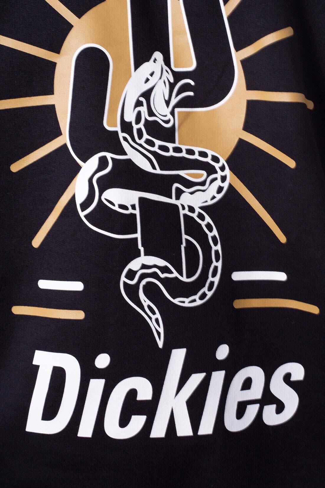 DICKIES - Felpa uomo Bettles  - Taglia XXL 4/5
