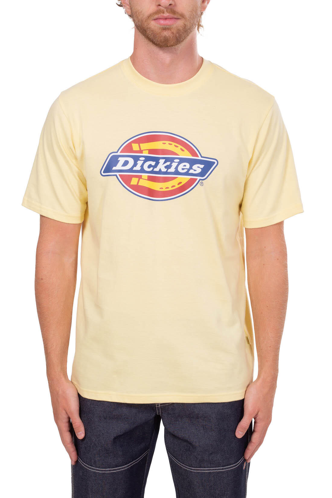 T-shirt DICKIES DK0A4XC9 2/5