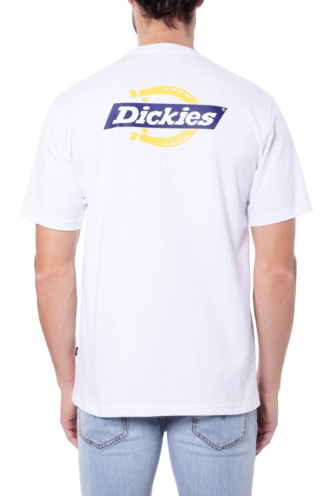 T-shirt DICKIES DK0A4XDC 3/5