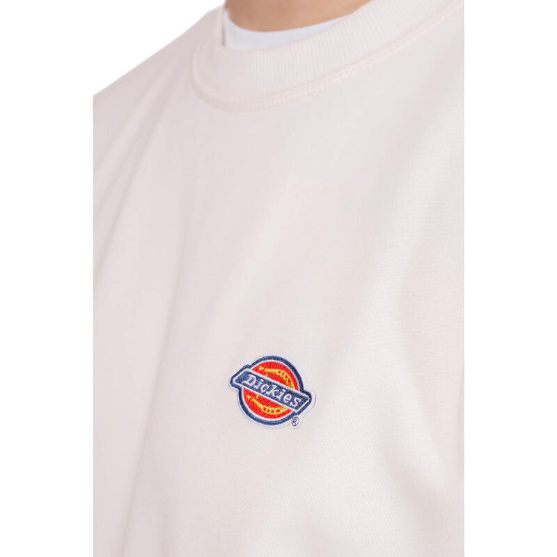 DICKIES Felpa in Grigio Sfumato | ABOUT YOU