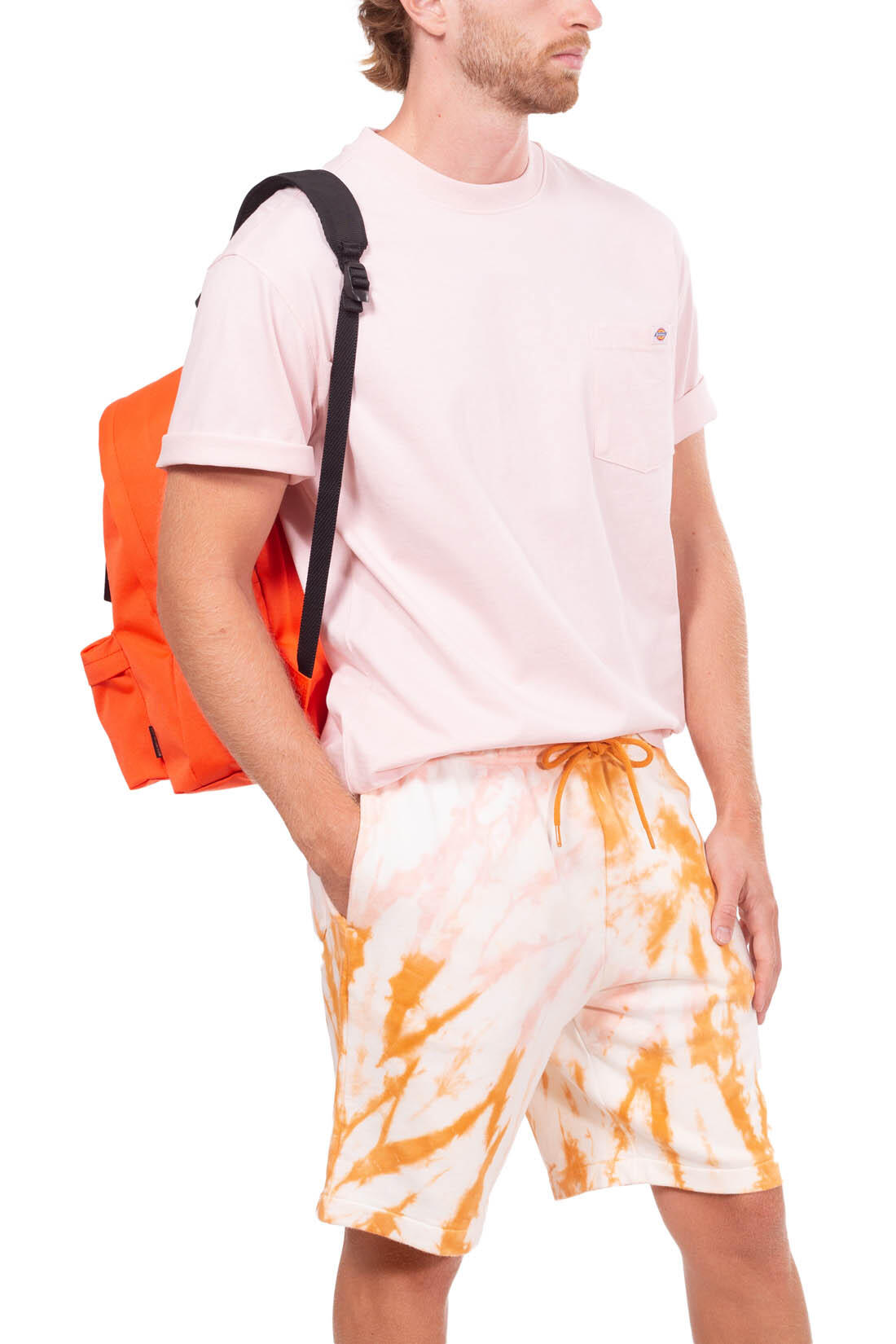 T-shirt DICKIES DK0A4TMO 1/5