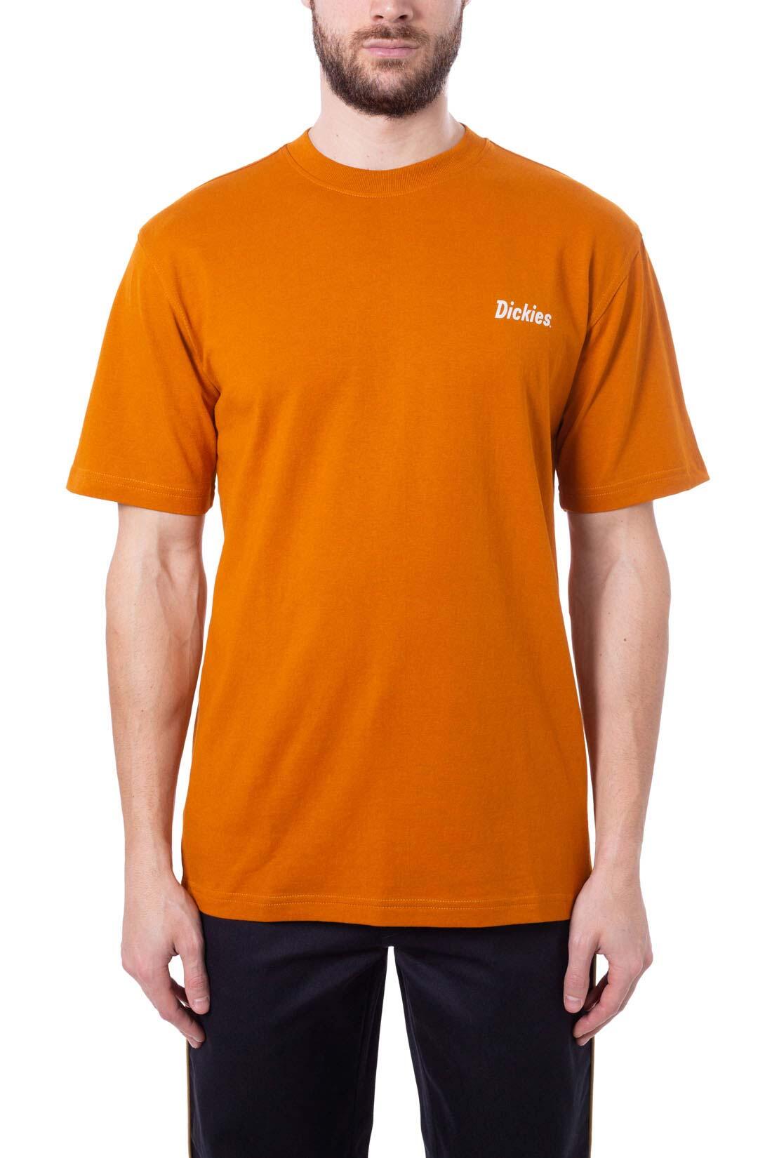 T-shirt DICKIES BETTLES 2/5