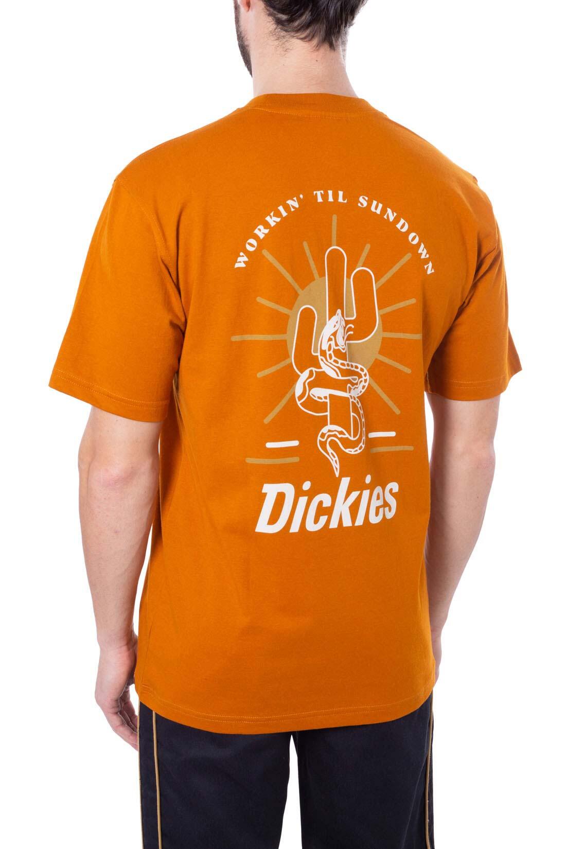 T-shirt DICKIES BETTLES 3/5