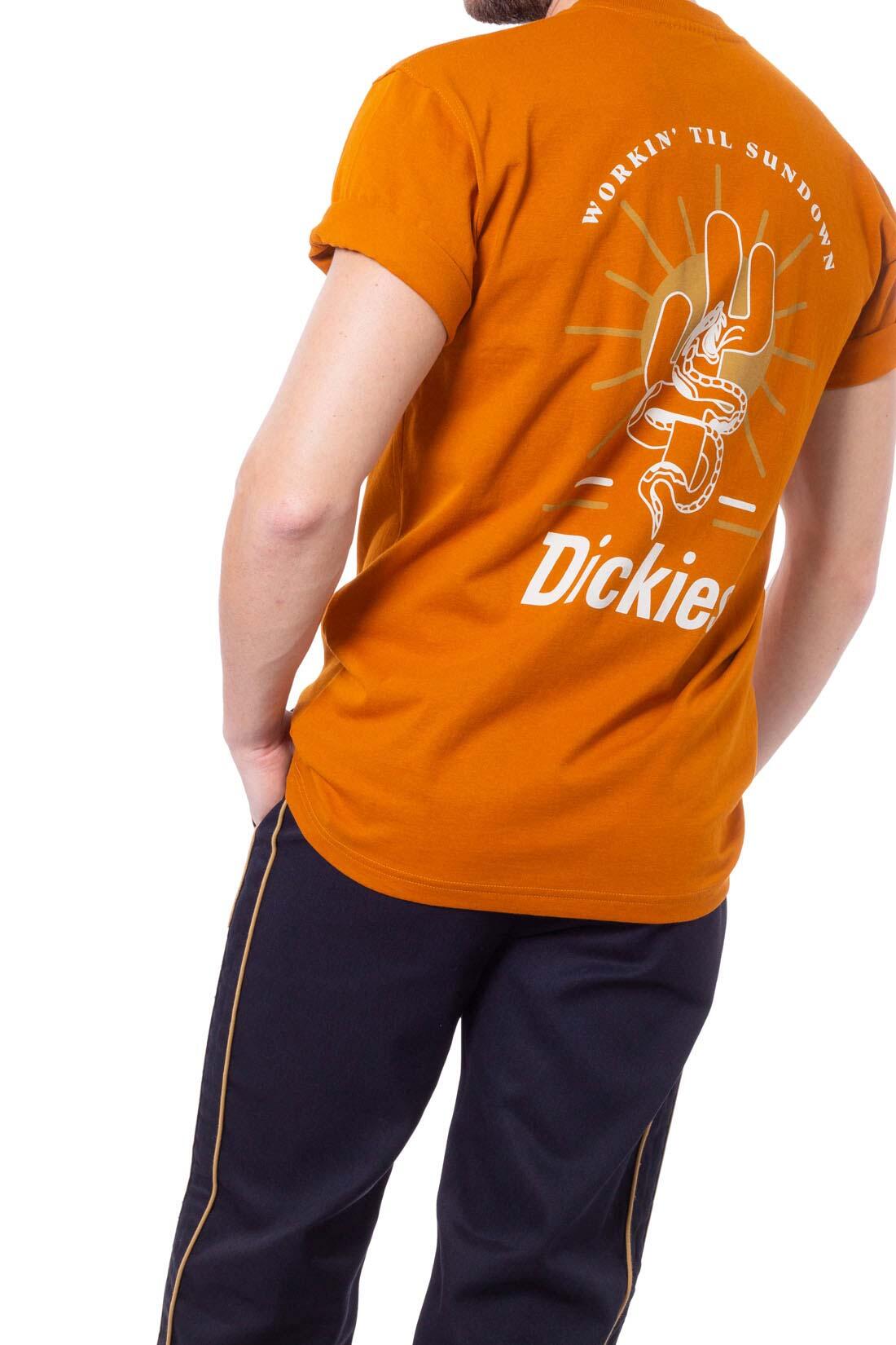 T-shirt DICKIES BETTLES 1/5