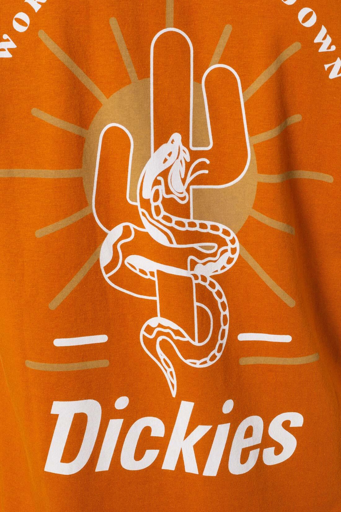 T-shirt DICKIES BETTLES 5/5