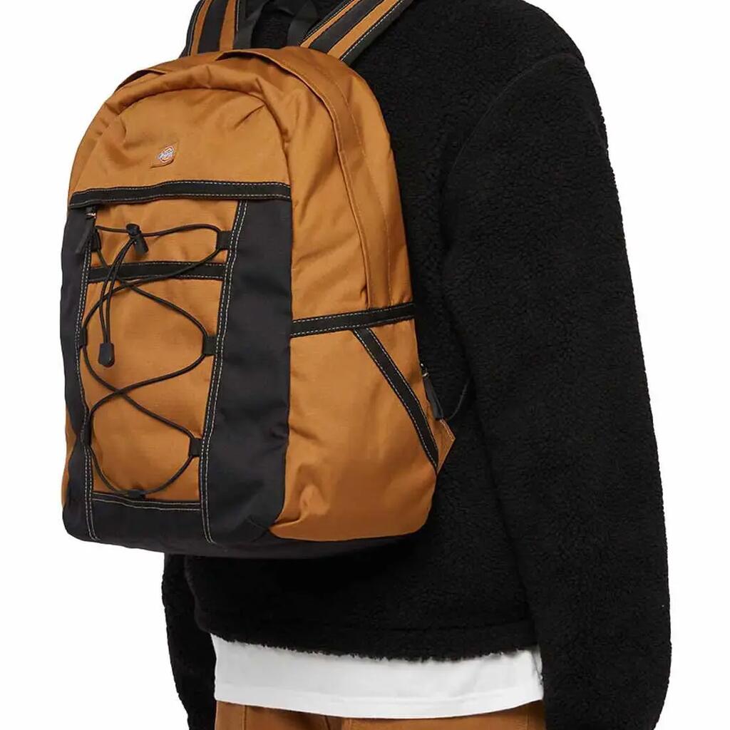 Backpack Dickies Ashville for man