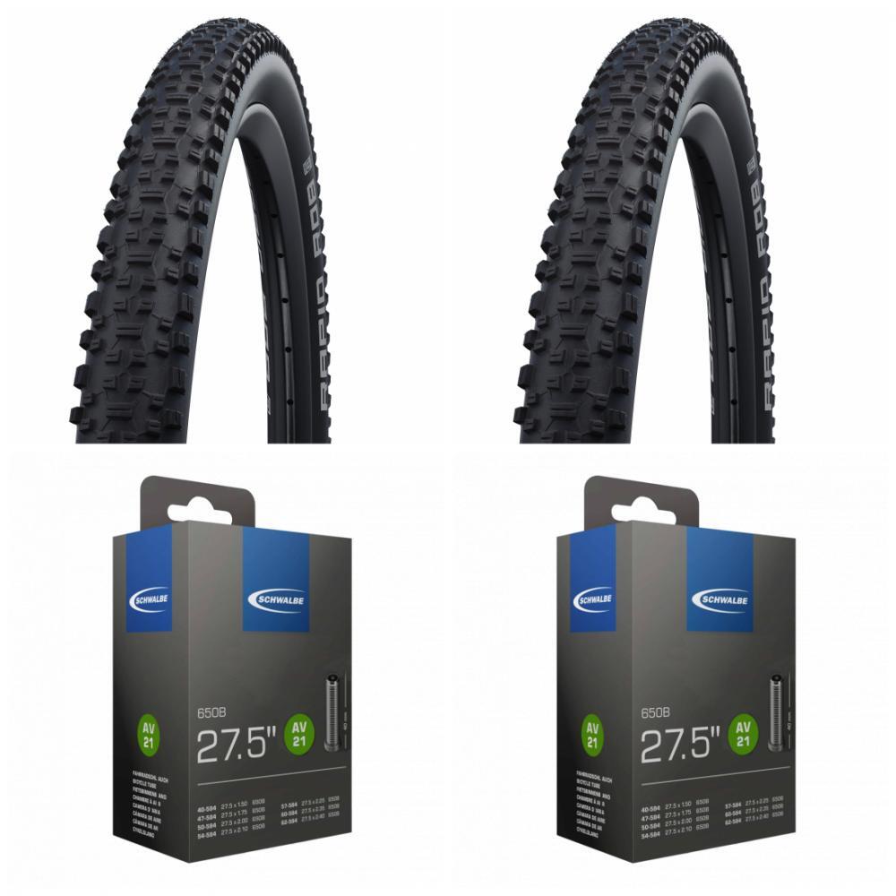 SCHWALBE picture