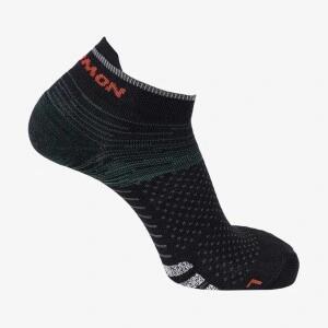 SALOMON picture