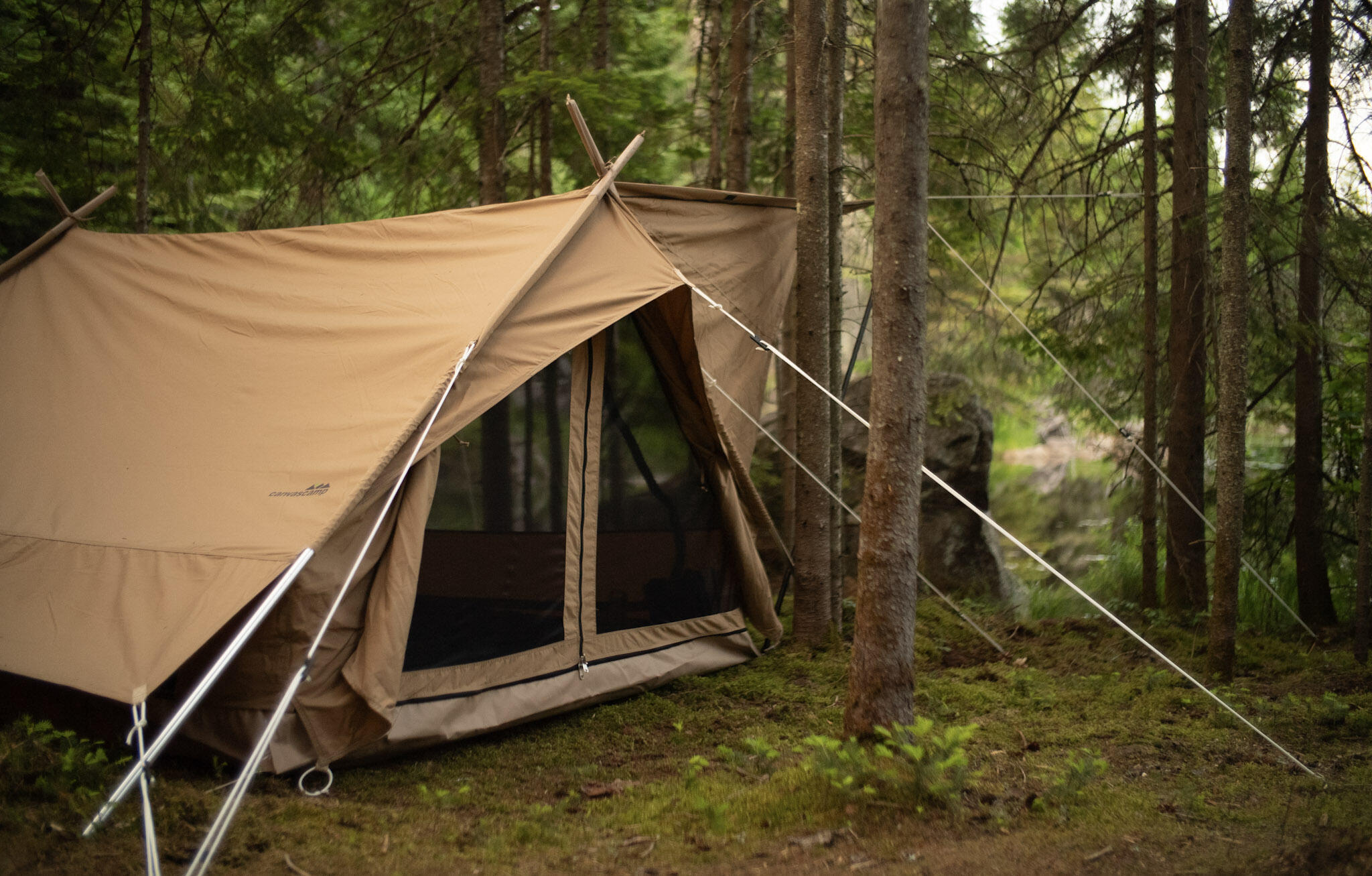 Altai Kampeertent - 3 persoons - Ruim - Panoramisch uitzicht - Slim ontwerp 3/6