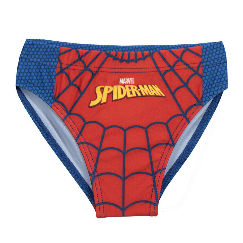 SPIDERMAN picture