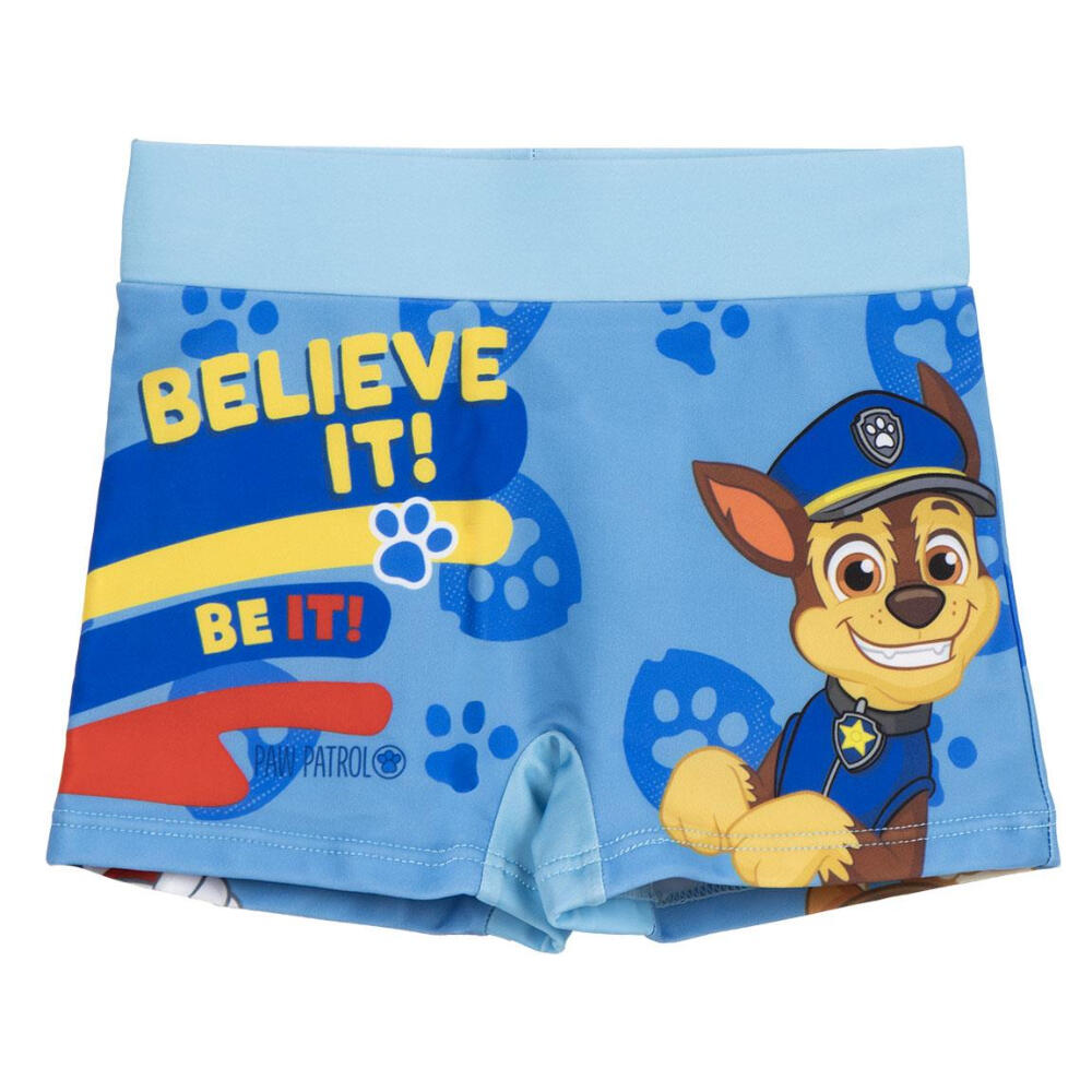 PAW PATROL picture