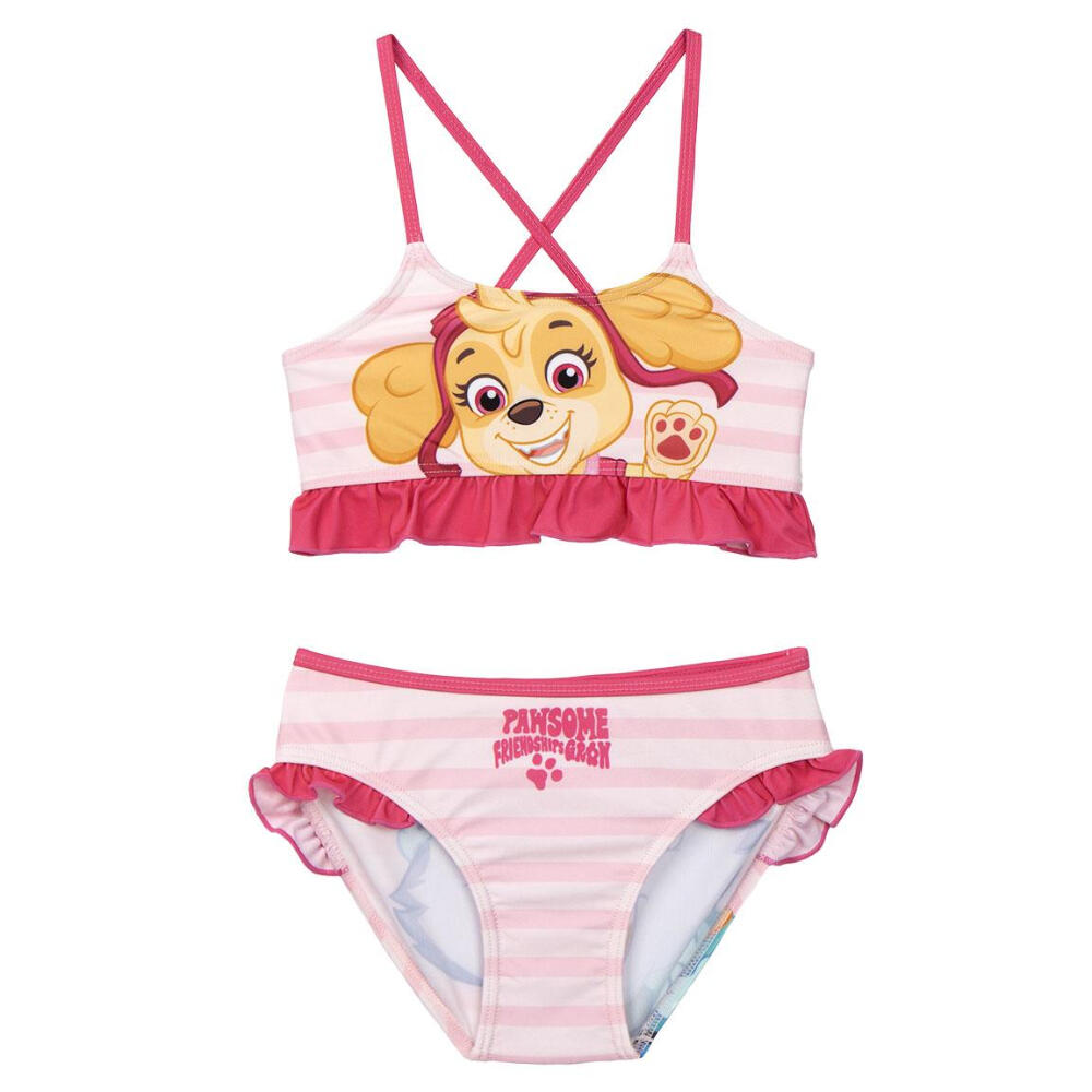 PAW PATROL picture