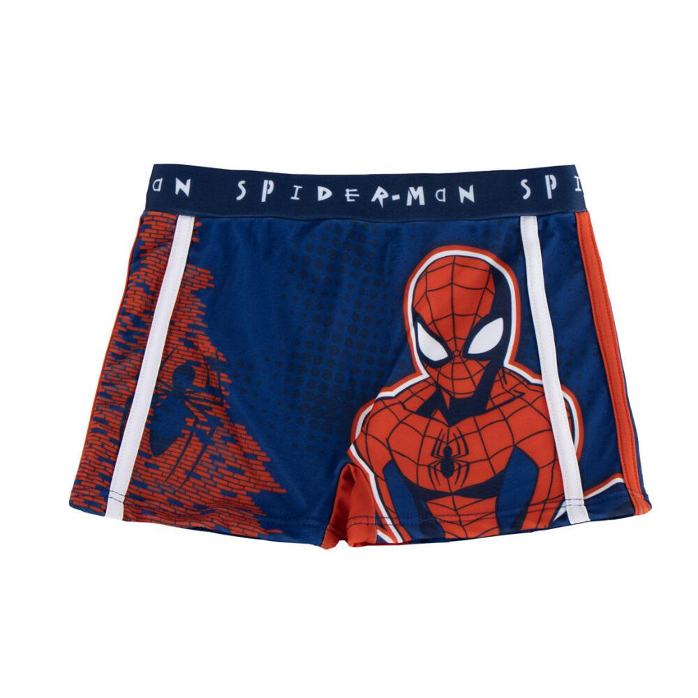SPIDERMAN picture