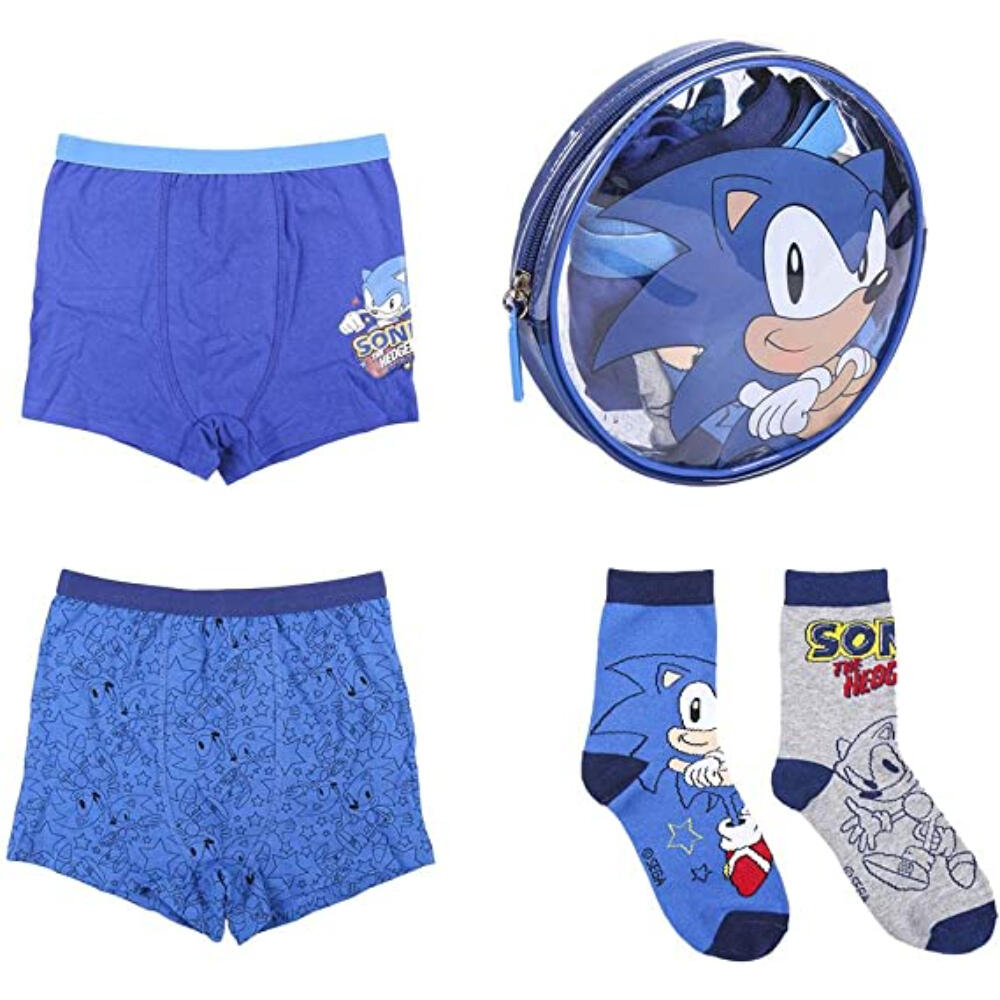 SONIC THE HEDGEHOG picture
