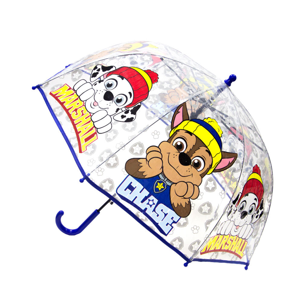 PAW PATROL picture