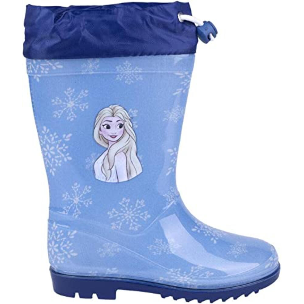 DISNEY FROZEN picture