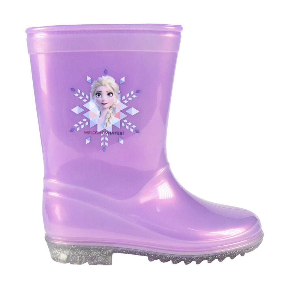 DISNEY FROZEN picture