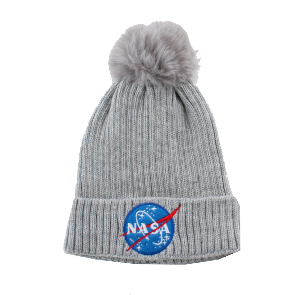 NASA picture
