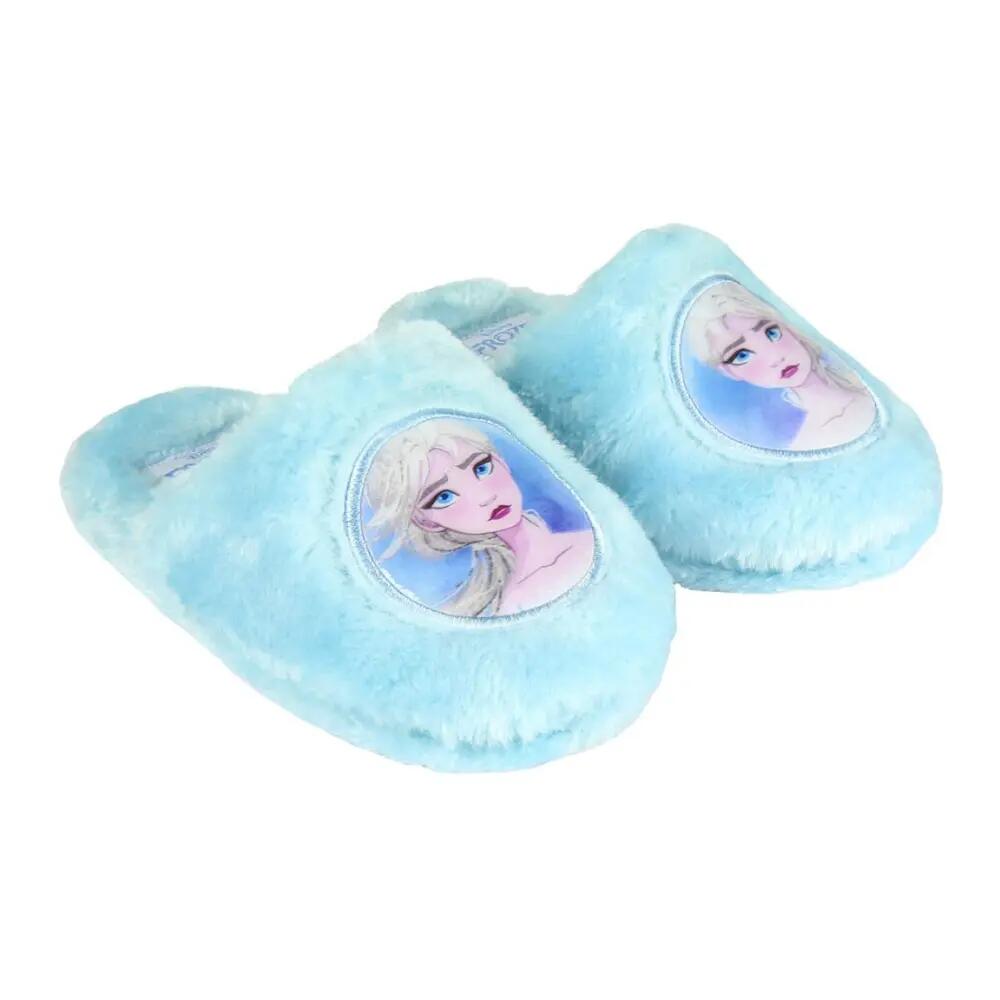 DISNEY FROZEN picture