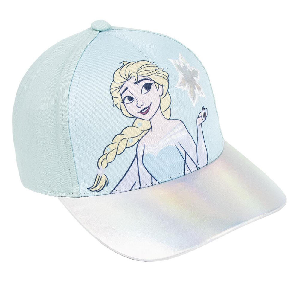 DISNEY FROZEN picture