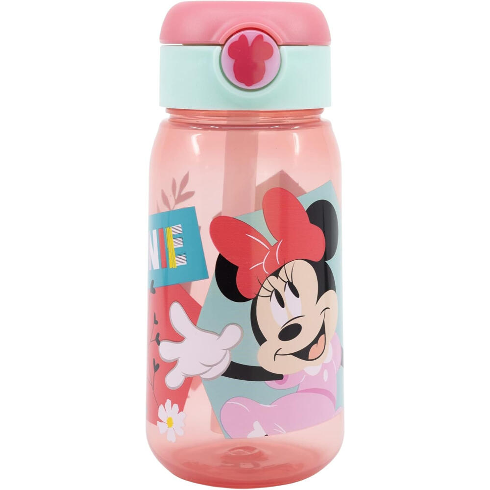 MINI MOUSE picture