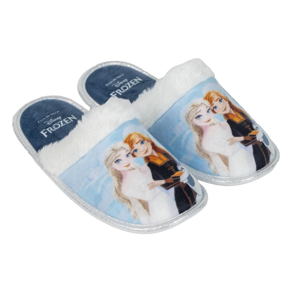 DISNEY FROZEN picture