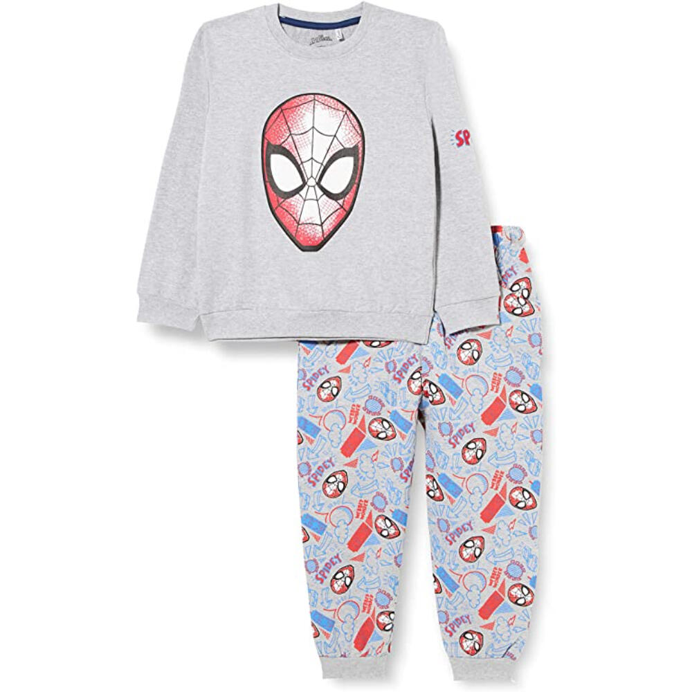 SPIDERMAN picture