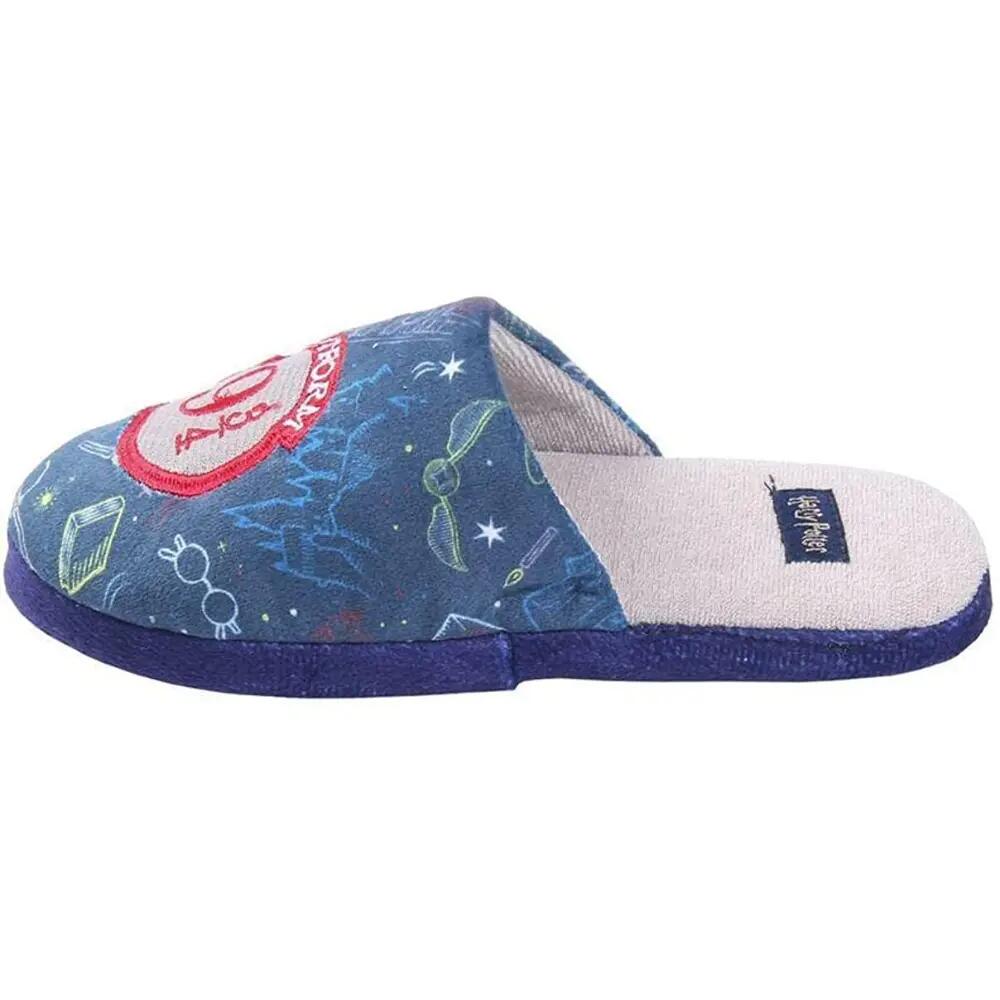 Zapatillas de Casa Harry Potter Azul Junior 2/3